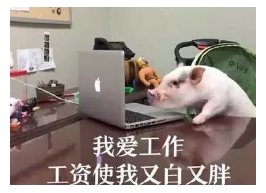 發(fā)生車(chē)禍如何快速理賠？