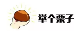什么是年金轉換？