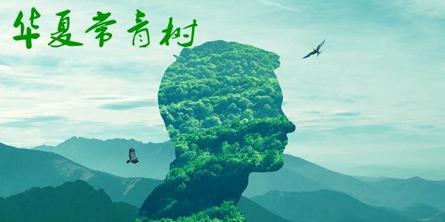 華夏常青樹多倍版和華夏福哪個(gè)好 包含自然身故嗎？