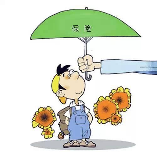 4.025% 年金險真的值得買嗎？錯過了就不再有了？